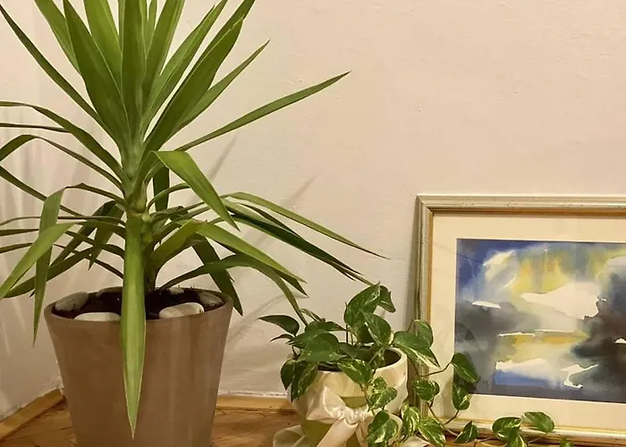 Apartman Sanja